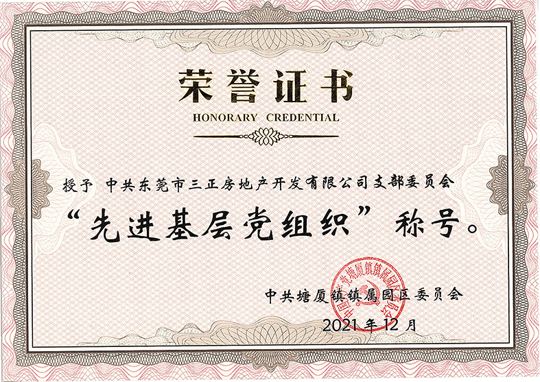 三正房地產黨支部授予先進基層黨組織.jpg 三正房地產黨支部授予先進基層黨組織.jpg