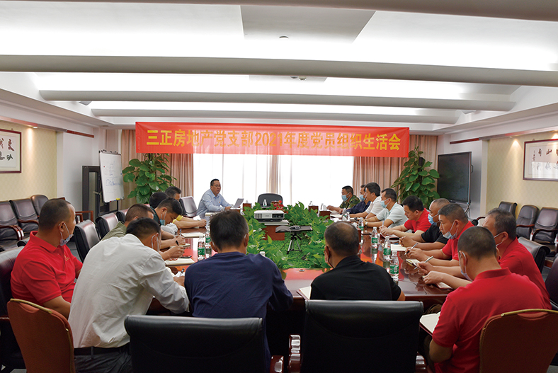 三正房地產黨支部召開2021年度組織生活會.jpg 三正房地產黨支部召開2021年度組織生活會.jpg